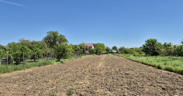 Teren intravilan 2658 mp - 1 Decembrie, Ilfov