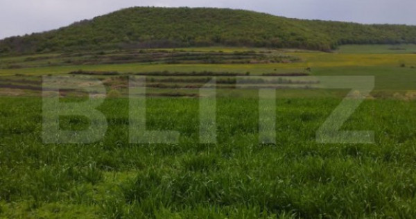 Teren extravilan 3621 mp, in Petrestii de Mijloc