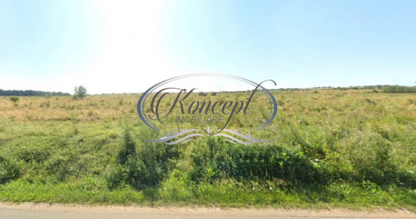 Teren intravilan in Salicea