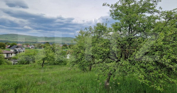 Teren extravilan de v&acirc;nzare &ndash; 1000 mp, livada, ideal pent