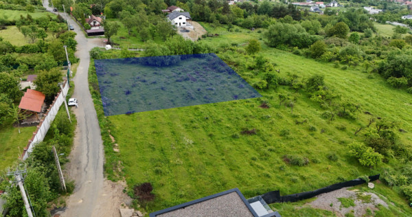 Teren intravilan 2000mp Cisnadioara str. Ciresilor