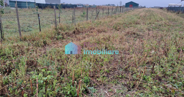 Teren intravilan 2700 mp Dumbraveni