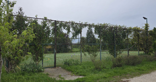 Proprietate Beharca teren 38464mp