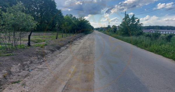 Teren Cerbu - Albota - cu PROIECT CASA si AVIZE