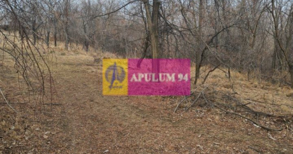 Teren intravilan de vanzare in Cornu de Jos