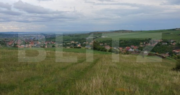 Teren extravilan 1248 mp in Copaceni! Oportunitate investiti