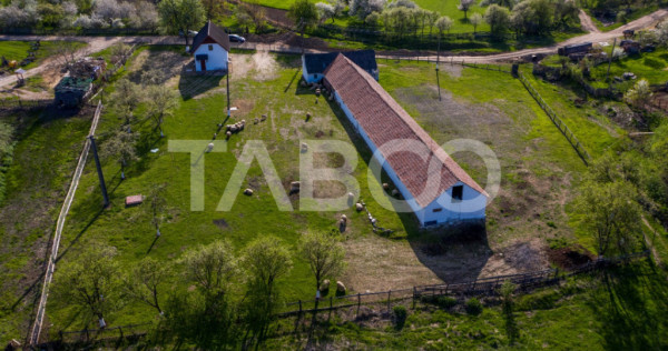 Microferma cu locuinta de vanzare in Pianu de sus