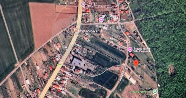 Lot teren 450 mp langa padure Ciolpani Fermei