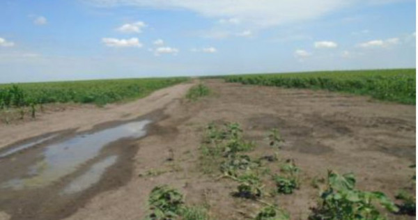 Teren extravilan,Sat Ciupercenii Noi, jud. Dolj