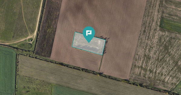 Oportunitate Unică de Investiție!