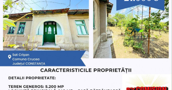 CASĂ DE VANZARE CRISAN