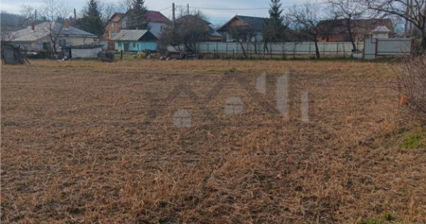 Teren 3500mp. Paun Bucium la asfalt cu toate utilitatile