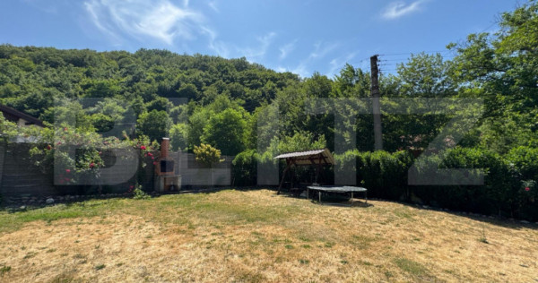 Casa cu 2 camere 53 mp in Lesnic, COMISION 0 PENTRU CUMPARAT