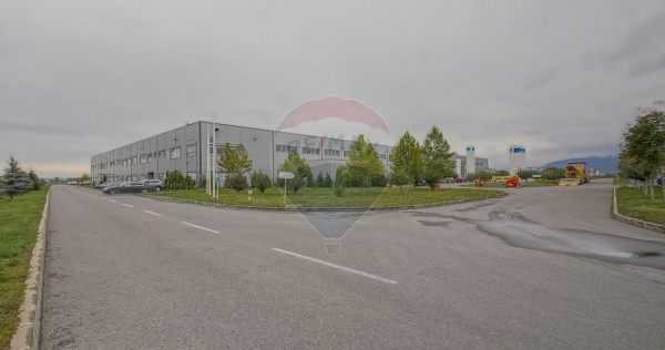 Hală industrială 5.000–12.000 mp de închiriat, Ghimbav