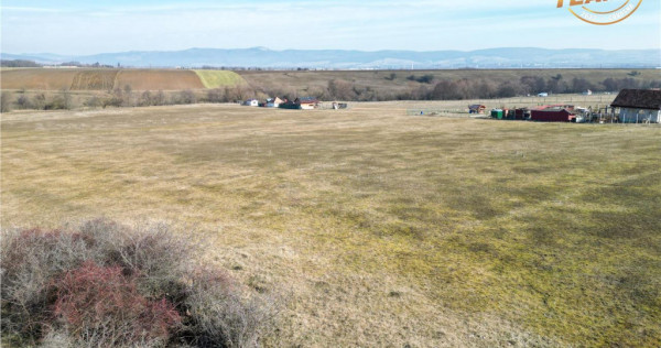 Film! Teren extravilan, Ciucului, Sfantu Gheorghe