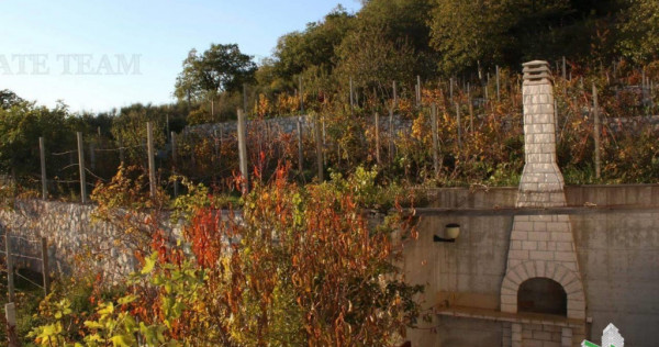 Casa de in Budva Muntenegru