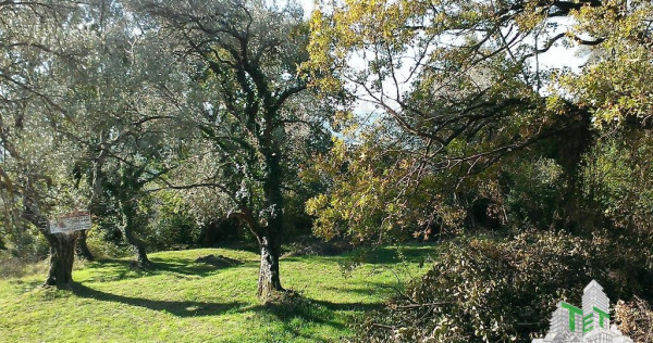 Teren de in Tivat Muntenegru