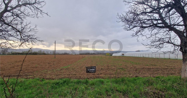 RECO teren intravilan Topa de Cris