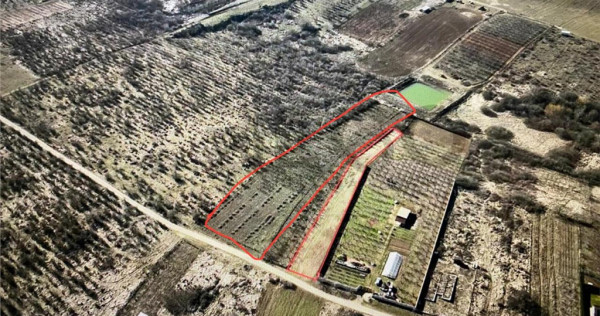 RECO Teren intravilan in Paleu 6178mp