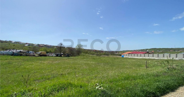 RECO Teren intravilan in Oradea str Beldiceanu 881mp