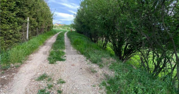 RECO Teren intravilan in Saldabagiu de munte 985mp