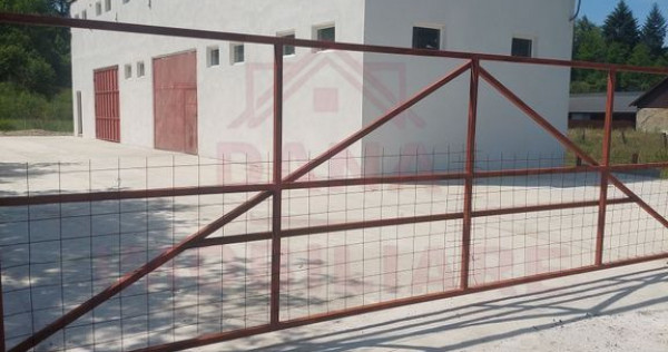 HALĂ DE VÂNZARE SAU ÎNCHIRIERE, ÎN LOC.. BĂUȚAR, JU...