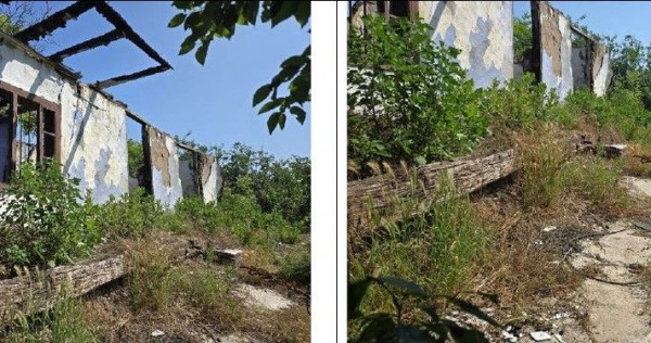 Casa si teren Cucuruzu, ID: R2609648