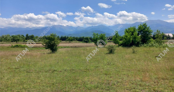 Teren intravilan 5000 mp pe Valea Avrigului, Sibiu