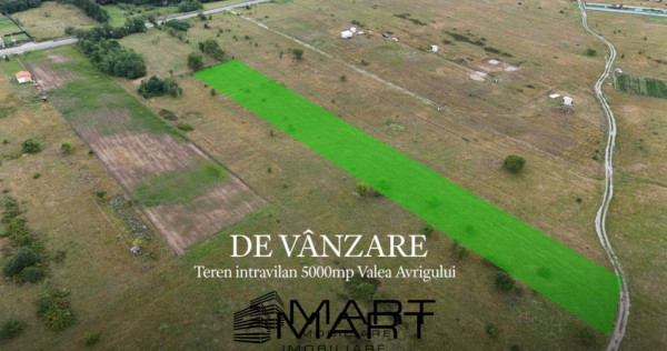 Teren intravilan 5000mp Valea Avrigului