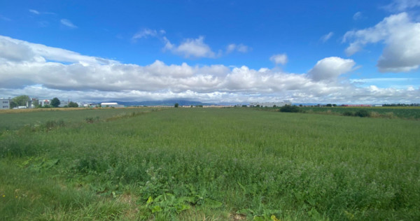 Teren extravilan, 7000mp, Cristian