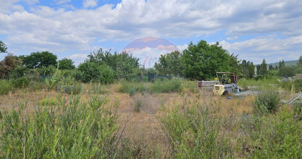 Teren de vanzare, Campia Turzii, zona cu acces rapid la a...