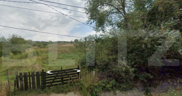 ???? Teren de vânzare,Valea Budacului, 60 de ari, 10 ari in