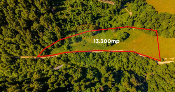 COMISION 0% Teren Brădet 7300 + 6000 mp/ Sacele /Intravilan