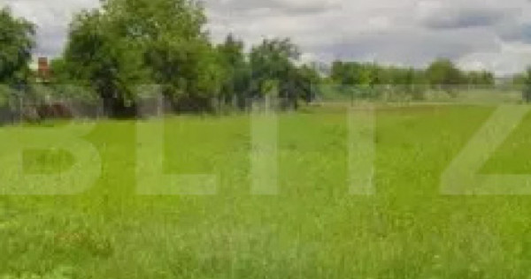 Teren extravilan la principala Calea Lugojului 5000 mp