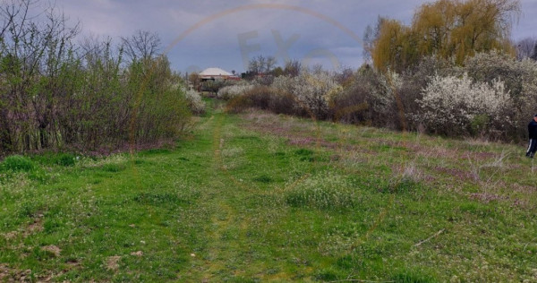 Teren Topoloveni - 3670 mp - langa padure, aproape de Centru