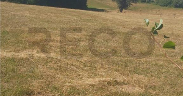 RECO, Teren intravilan, zona Sinteu, 2 Km de Huta Slavia