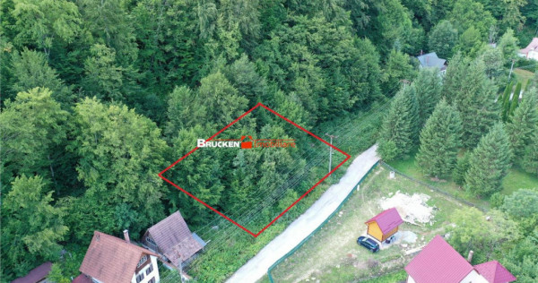 TEREN INTRAVILAN CONSTRUIBIL – 400 mp | Statiunea Boga,...