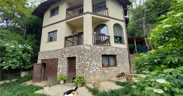 Casa tip D P 1, SISTEM AMVIC, teren 1000 mp, Sarata Monteoru