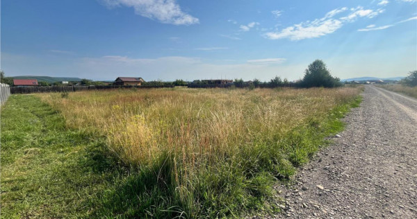 TEREN INTRAVILAN, HARMAN