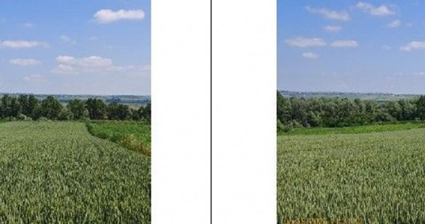 Teren extravilan Bosanci, ID: R2649417