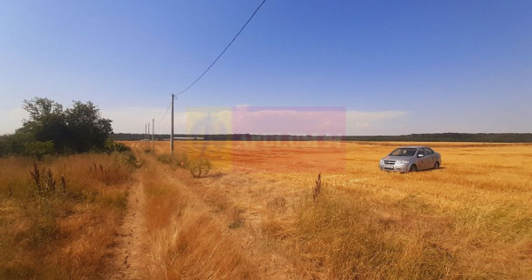 Teren pentru casă/case în Brănești pe strada Toporași