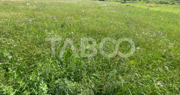 Teren intravilan 3450 mp Boita, 35 m deschidere, la 700 m de