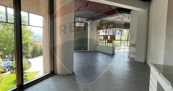 Spațiu comercial Vanzare cu Chiriasi | Taietura Turcului