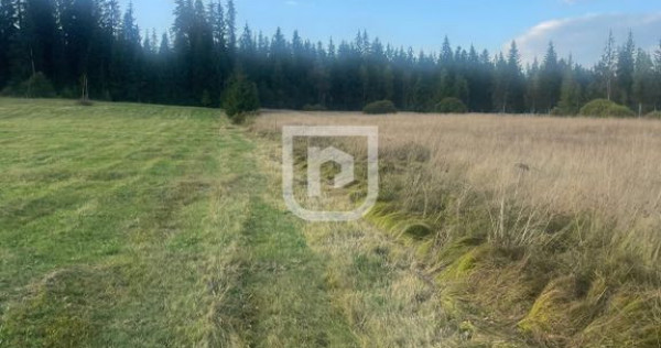 Teren intravilan – Poiana Stampei ????