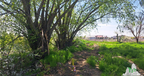 Teren 1171mp la intrare in Palanca langa Raul Sabar