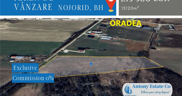 Teren intravilan de vânzare - Nojorid, MAR