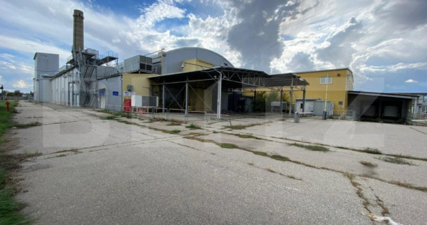 Fosta fabrica de dulciuri, 15533 mp, Freidorf