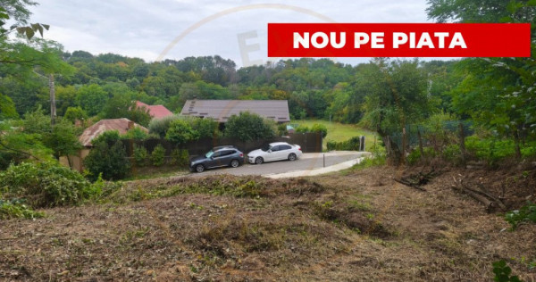 Teren 2552 mp Mosoaia Hintesti -Strada Basangesti