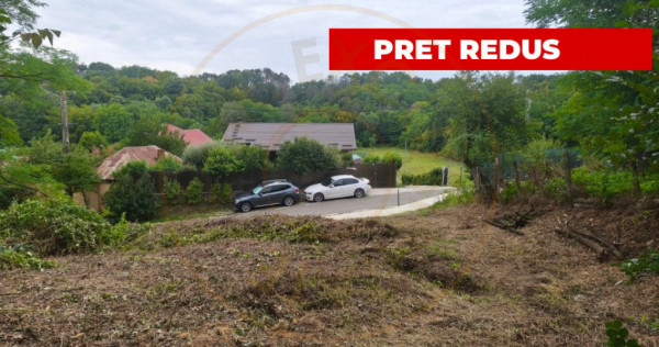 Teren 2552 mp x 14&euro; Mosoaia Hintesti -Strada Basangesti