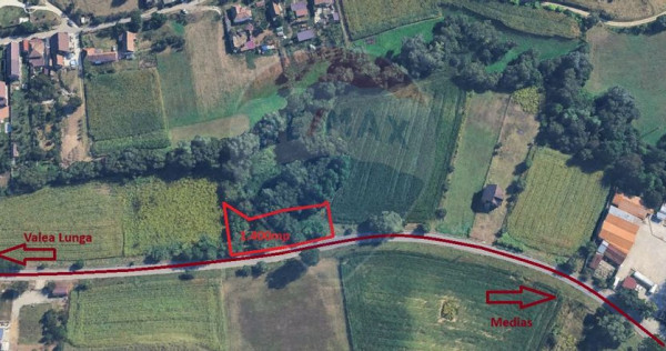 Teren 1,400mp Medias / Valea lunga